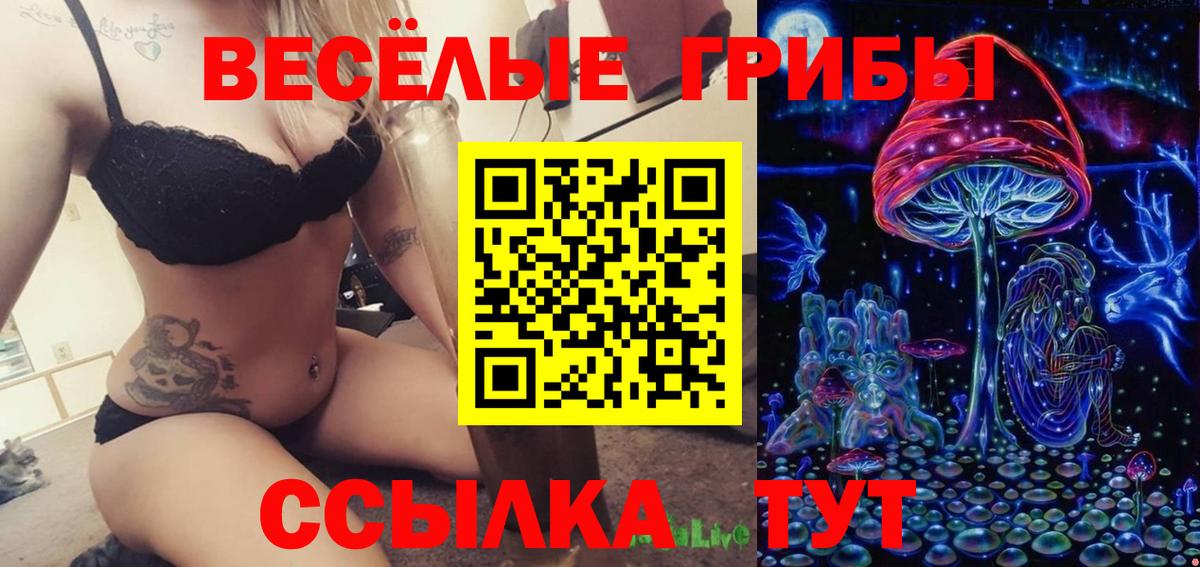 Галлюциногенные грибы Cubensis Гуково